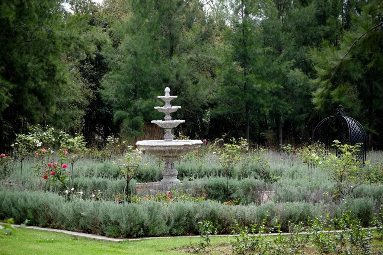 Toadbury Hall Country Hotel Johannesburg Exterior photo