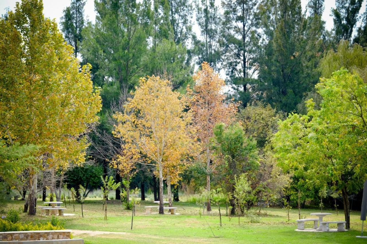 Toadbury Hall Country Hotel Johannesburg Exterior photo